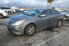 Hyundai, Sonata