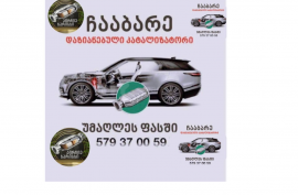 Autoparts, Check system, Catalyst