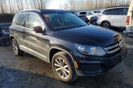 Volkswagen, Tiguan