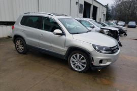 Volkswagen, Tiguan