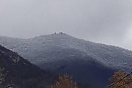 Autoparts, Suspension system and control mechanism, Bearing, MAZDA 