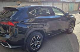 Lexus, NX, NX 300
