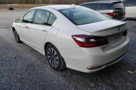 Honda, Accord