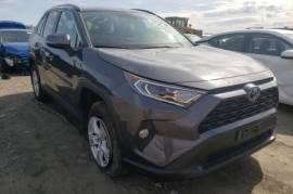 Toyota, RAV4