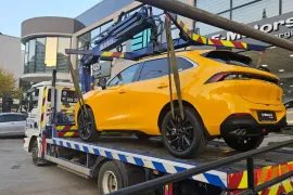 ობობა ევაკუატორის მომსახურება