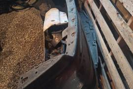 Автозапчасти, Автозапчасти, TOYOTA 