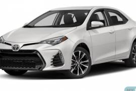 ავტონაწილები, ძარის ნაწილები, წინა ბადე, TOYOTA 