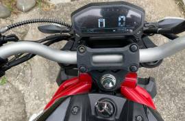 Pony, LITTLE MONSTER 150