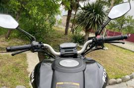 Pony, LITTLE MONSTER 150