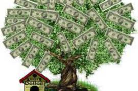 სესხი $50,000,00-დან $5000,000,00-მდე