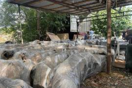 ავტონაწილები, ძრავი, მისი ნაწილები, ძრავი, TOYOTA 