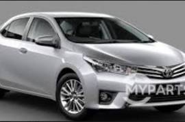 Autoparts, Body Parts, Hinges, TOYOTA 