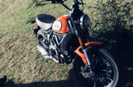 Ducati, Scrambler