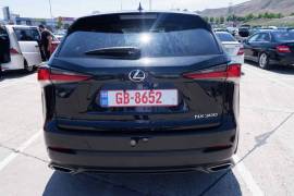 Lexus, NX, NX 300