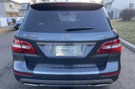 Mercedes-Benz, ML-Class, ML 250