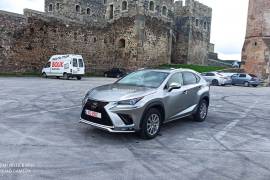 Lexus, NX, NX 300