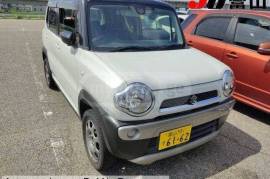 Suzuki , სხვა