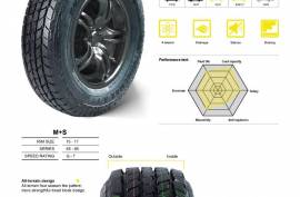 ავტონაწილები, დისკები და საბურავები, საბურავები