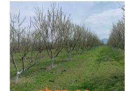 იყიდება სასოფლო სამეურნეო მიწის ნაკვეთი მარნეულის