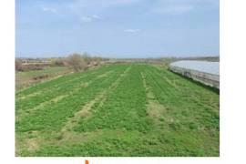 იყიდება სასოფლო სამეურნეო მიწის ნაკვეთი მარნეულის