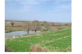 იყიდება სასოფლო სამეურნეო მიწის ნაკვეთი მარნეულის