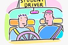 D კატეგორიის შესწავლა