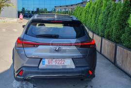 Lexus, UX series, UX250h