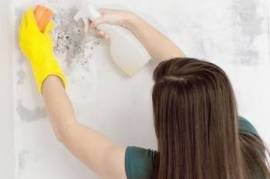 Autoparts, Equipment