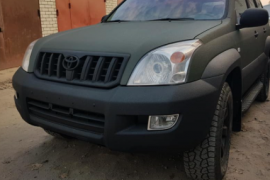 კობრით შეღებვა 198705591