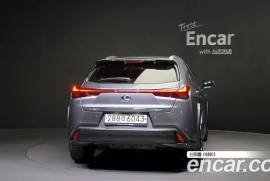 Lexus , UX series, UX250h