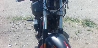 Gigaia96